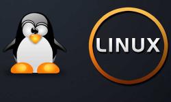 Featured image of post linux